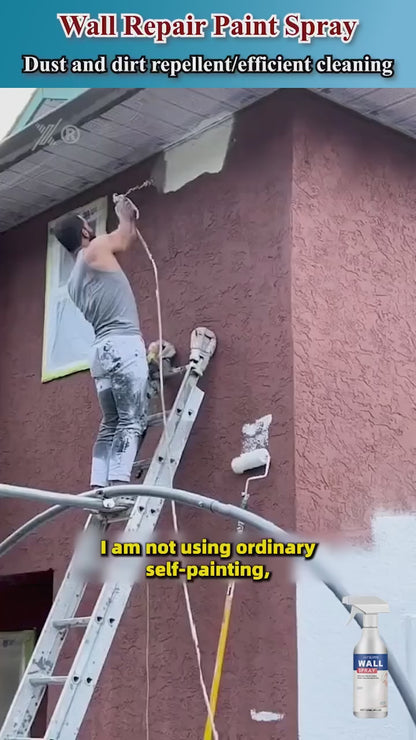 Wall Repair Paint
